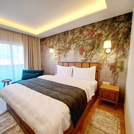 Pensiunea Leonida - Resort Leonida Poiana Tapului Eksteriør billede